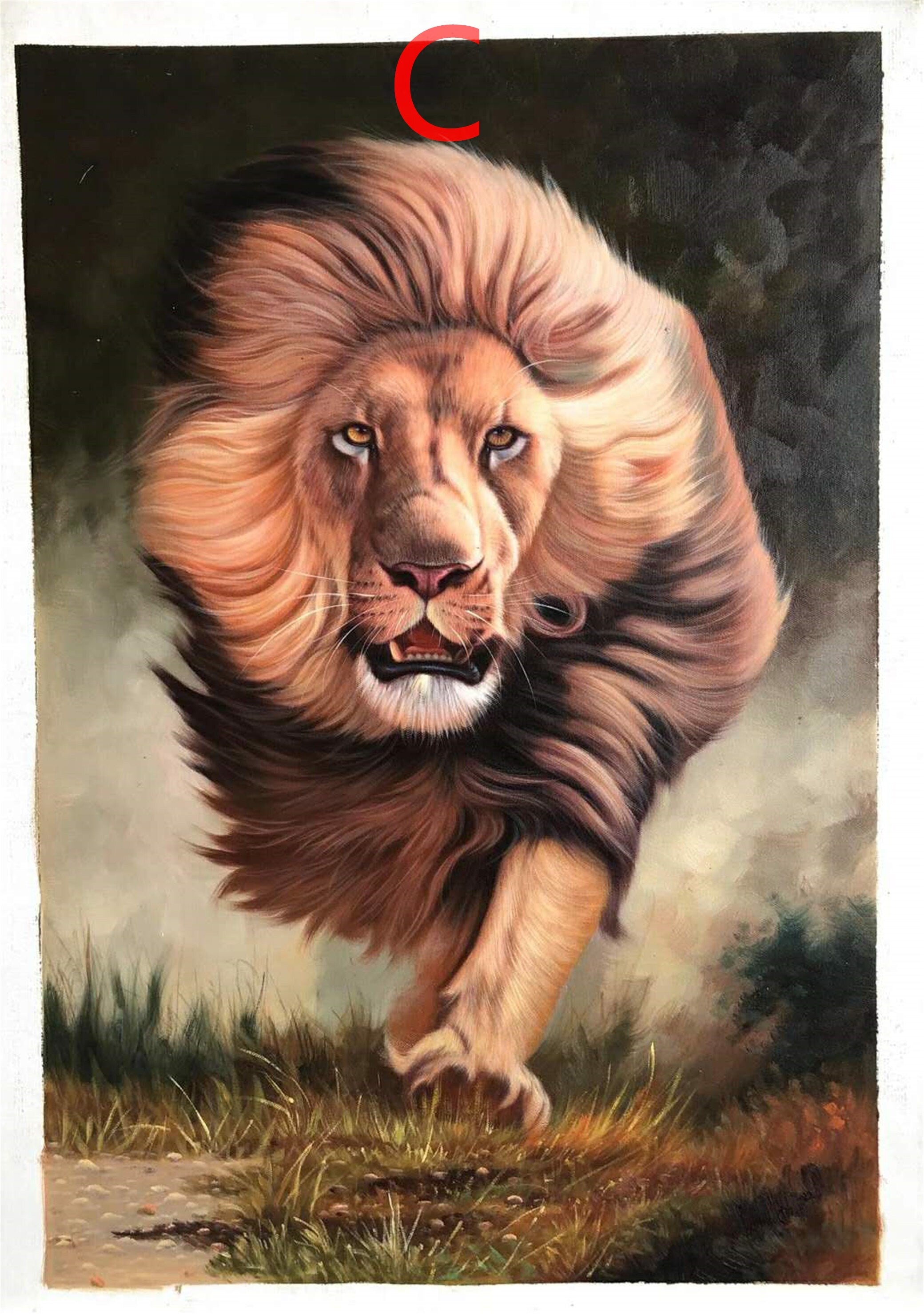 Pure handmade oil painting animal living room large bedroom dining room decorative painting24x36inch